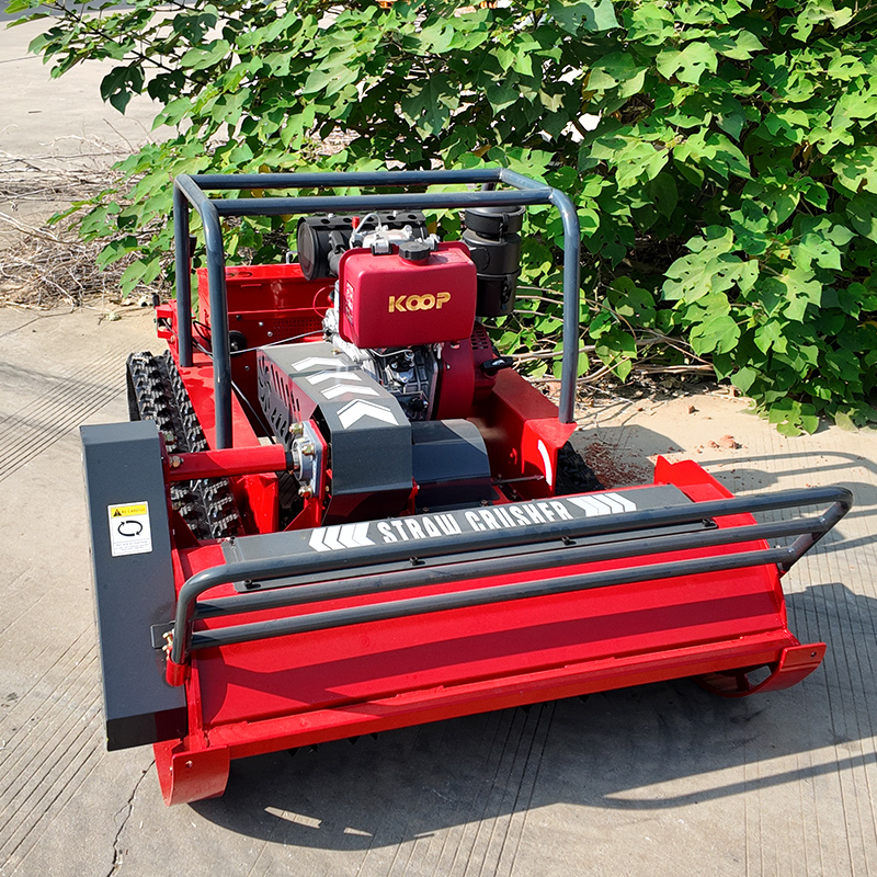 Cortadora de césped robótica c - Lawn Mower Battery reseña y precio